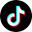 TikTok Downloader